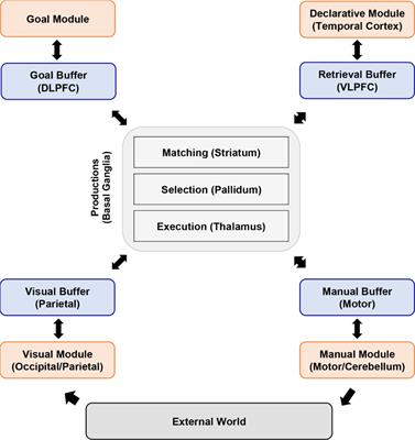 Neural Correlates of Workload Transition in Multitasking: An ACT-R Model of Hysteresis Effect